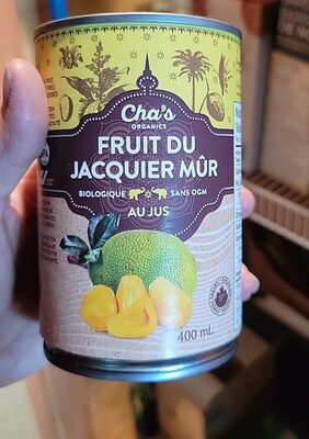 Fruits Jacquier Mûr au Jus Bio