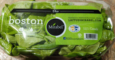 Swiss Chard